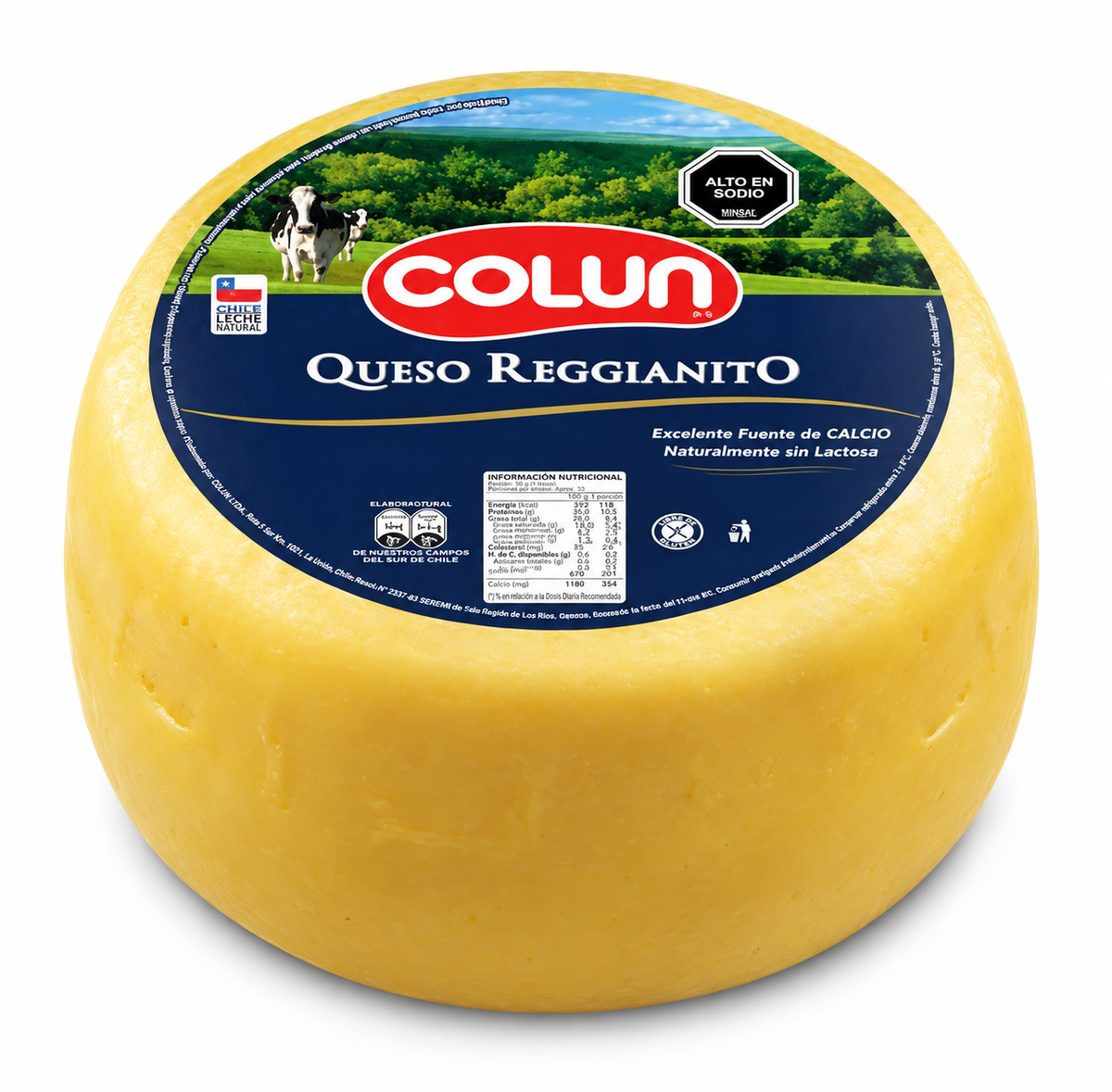 QUESO PARMESANO COLUN