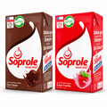 LECHE DE CHOC. Y FRUT. LT SOPROLE
