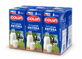 LECHE NATURAL 200ML COLUN