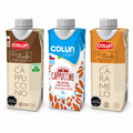 CAPUCCINO S. LACTOSA COLUN 330 CC