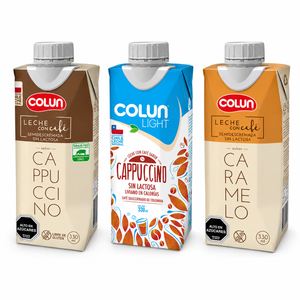 CAPUCCINO S. LACTOSA COLUN 330 CC